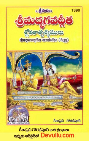 Bhagavad Gita Telugu Gita Press set of 10Books code 1390