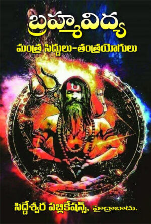 Brahmavidya – Mantra Siddhulu Tantra Yogulu