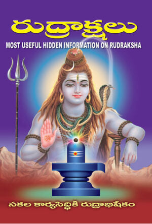 Nitya Jeevitamlo Rudrakshalu