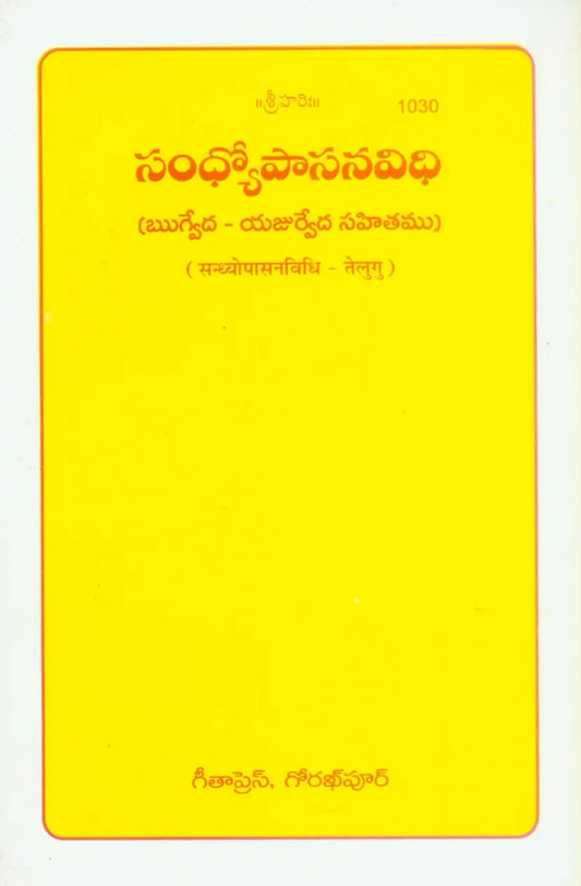 Sandheopasan Vidhi