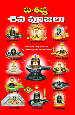 Visista Siva Poojalu