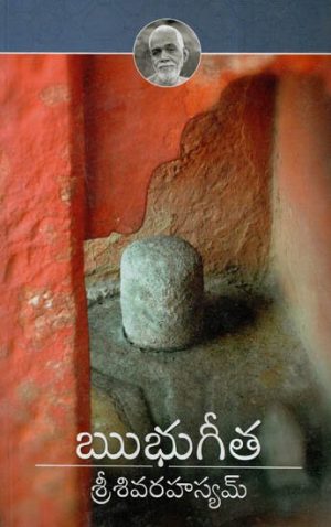 Ribhu Gita -Sri Siva Rahasyam Telugu