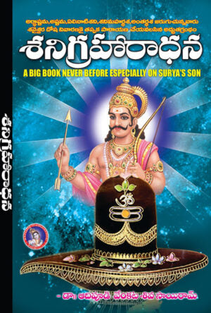 Sani Graharadhana