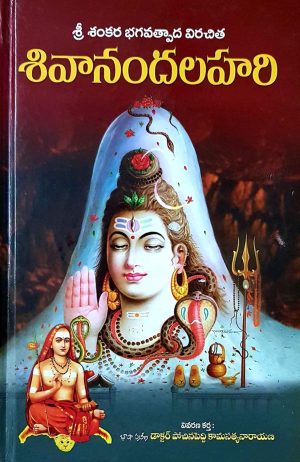 Shivananda Lahari Telugu vgs
