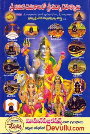 Sri Namaka Chamakalalo Sri Vidya Rahasyalu