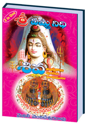 Sri Vishnu Nidhi