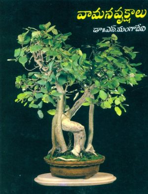 Vamana Vrukshalu | Bonsai Tree Telugu