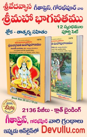 Vyasa Bhagavatam in Telugu (Full Set of 2 Parts) code1975&1976